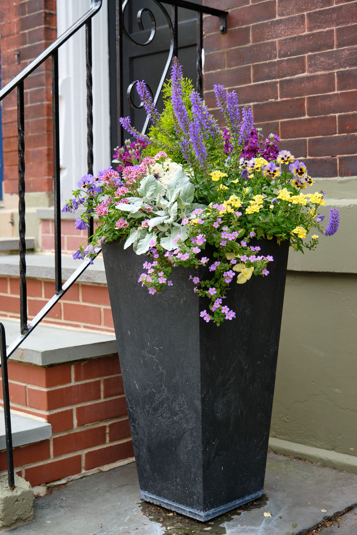 Enliven Planters spring container arrangement